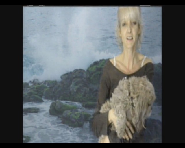 Dog Boarding Utah Affordable Dog Sitter Salt Lake City Uta… Flickr