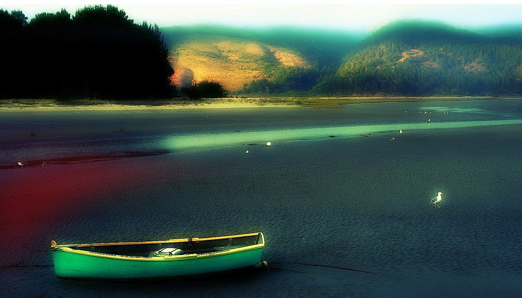 Bolinas Lagoon Miwok Flickr