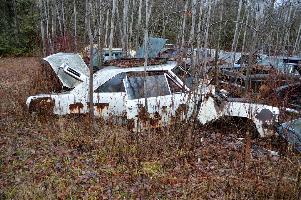 DSC_0504 v2 Do white cars show dirt? Do white cars show sc… Flickr