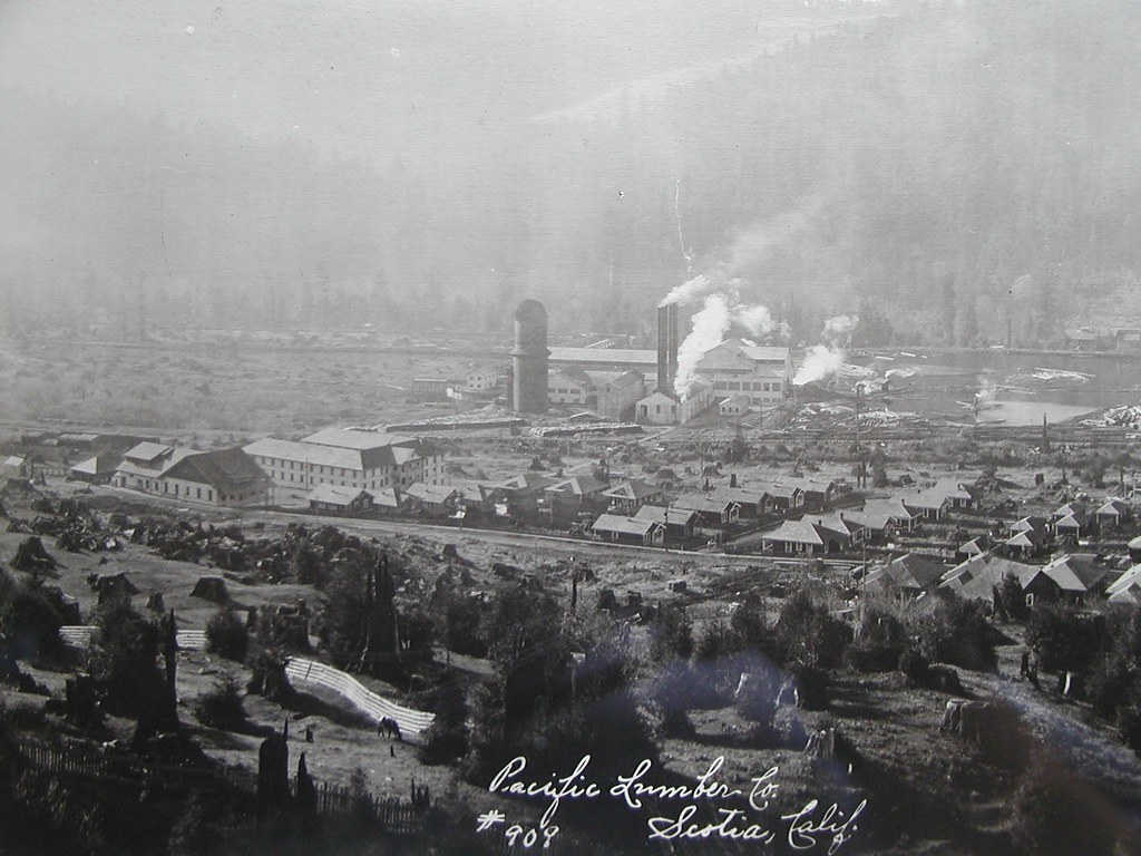 1919_01 Scotia, Ca lumber mill town, 1919. Photo sources u… Flickr