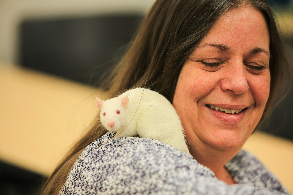 04.04.18_DCTC_Open House147 Dakota County Technical College Flickr