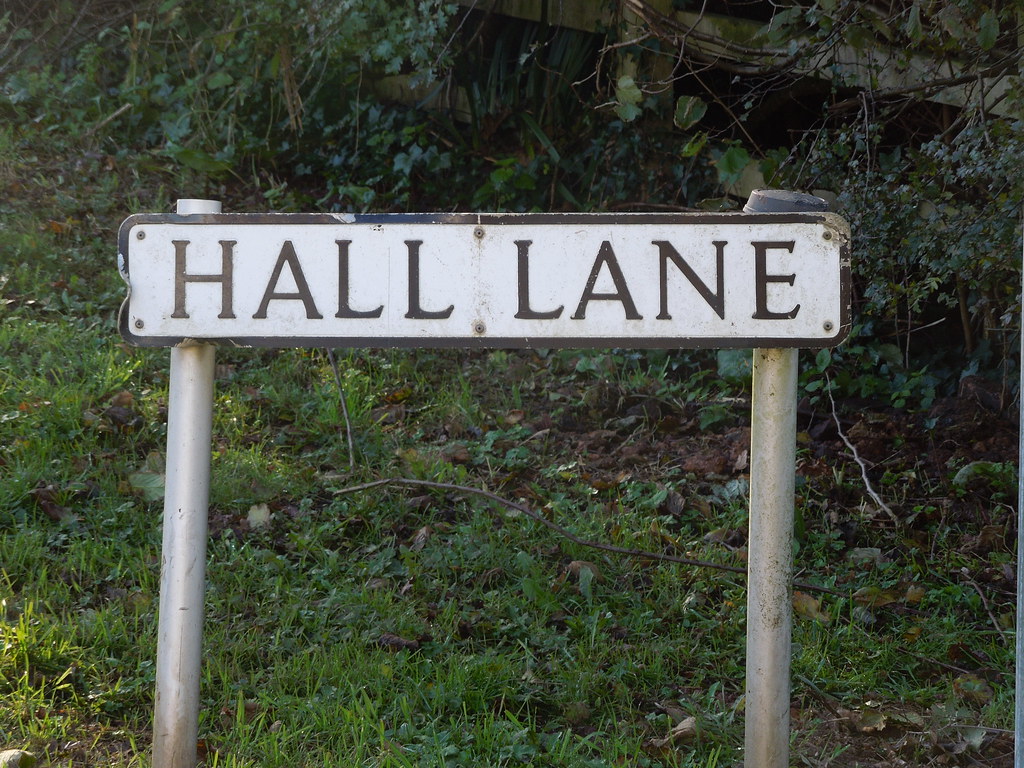 12 11 10 Hall Lane in Geodesy Ruth Flickr