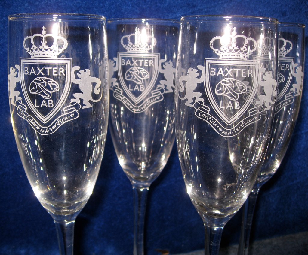 Champagne glasses custom engraved with logo Champagne glas… Flickr