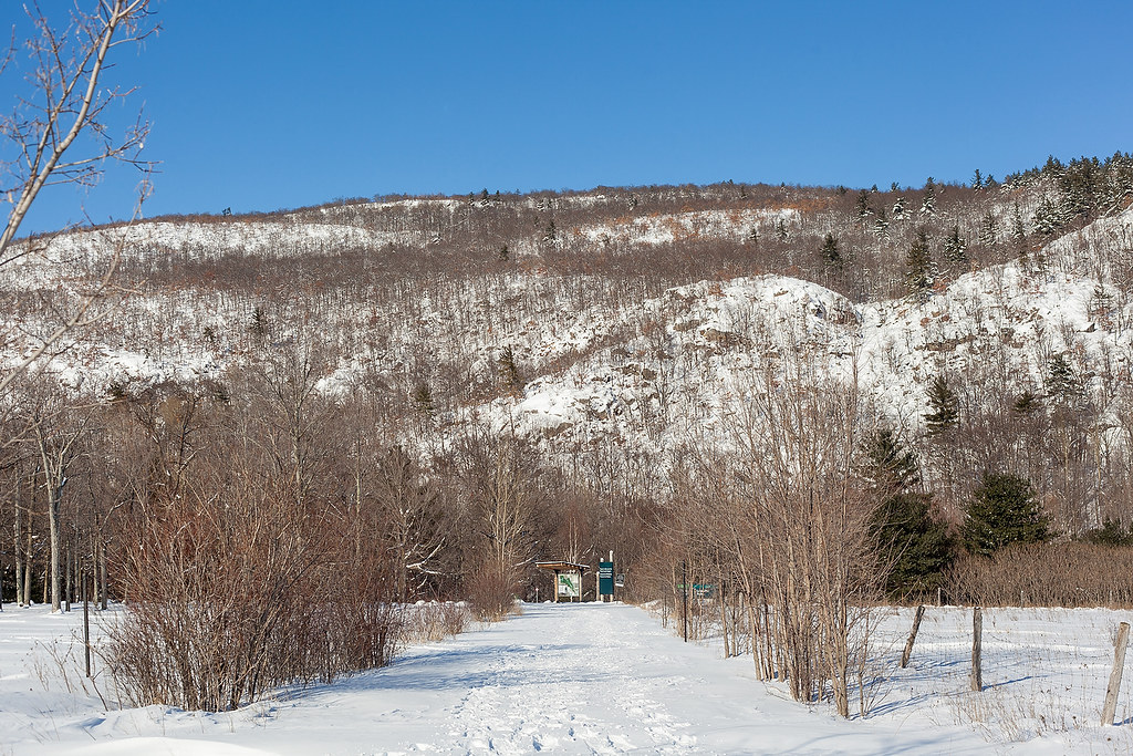 IMG_8831 Raquette. Luskville Qc. January 7 2013 © Photo by… Flickr