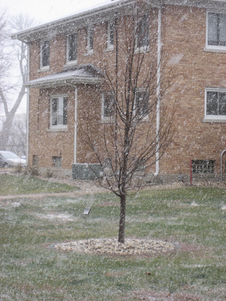 First Snow Granville, Iowa Krebs' Class Flickr