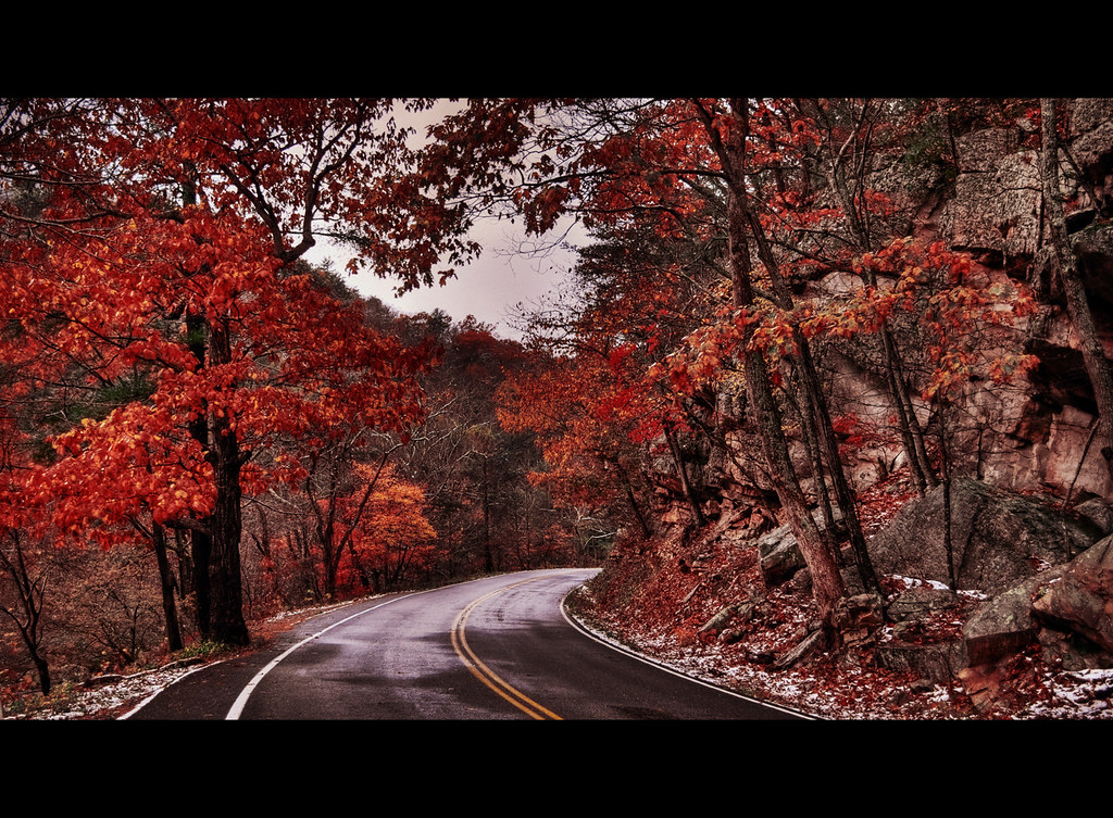 Snowy Fall... Trying to go to Goshen tomorrow but the weat… Flickr