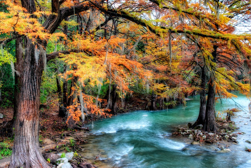 Guadalupe River Gruene, TX From the blog at www.nomadicpu… Flickr