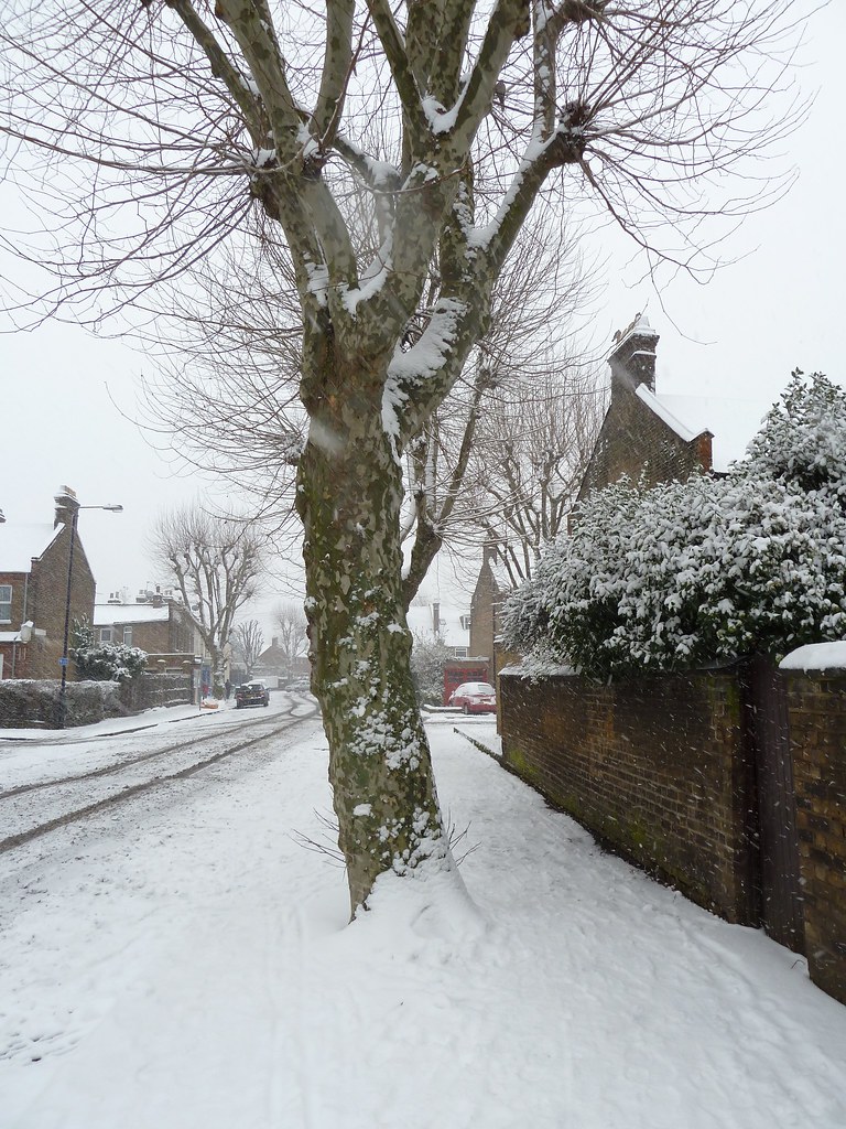 Pretoria Avenue, Walthamstow Richard and Gill Long Flickr