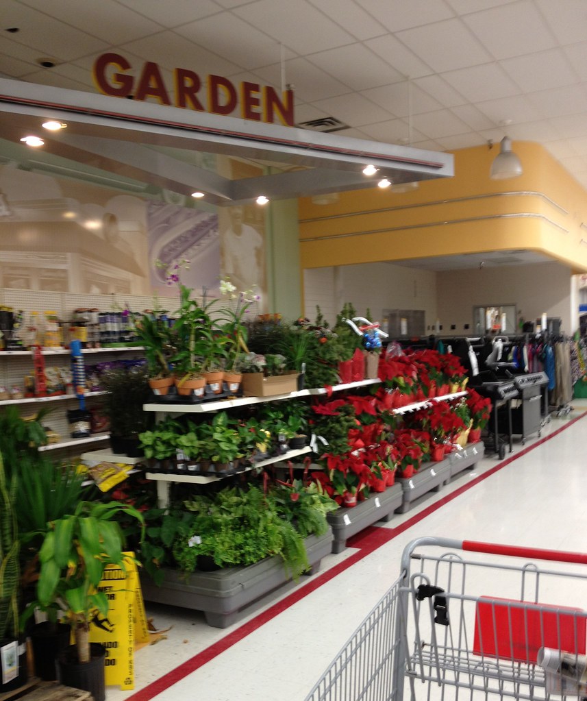 Kmart Vails Gate, NY 7 Mike Kalasnik Flickr