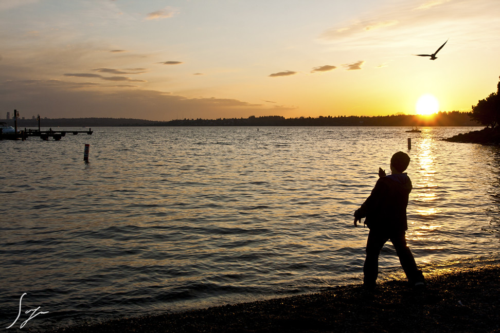 Kirkland Beach Brit (Kai) S Flickr