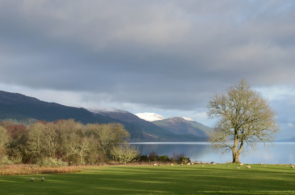 Glendoe Estate, Loch Ness, NE Scotland Niggles110 Flickr
