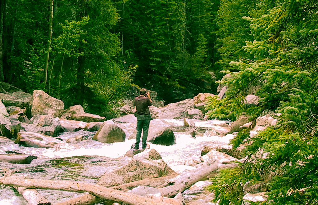 Walking CompanyOregon Waterfall Beauchamp Backstage Flickr