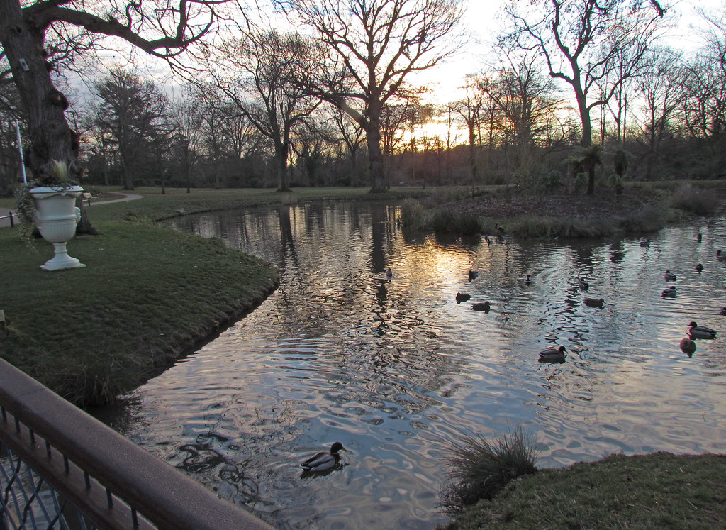 Sunrise over Herschel Park pond. Diane Flickr