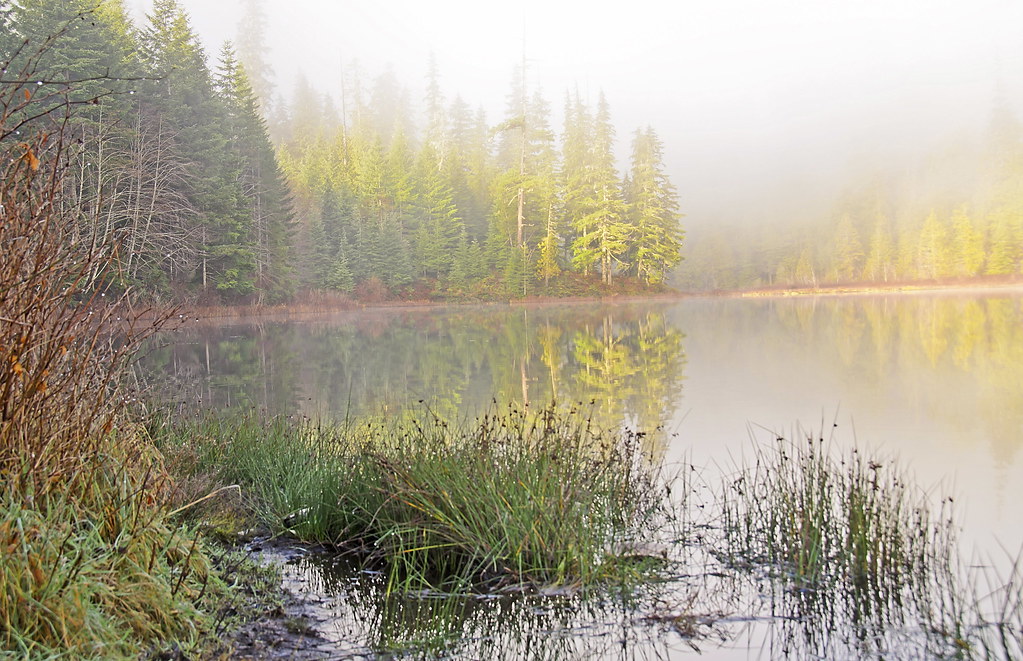 159 Antler Lake fog December morning fog on the lake aft… Flickr