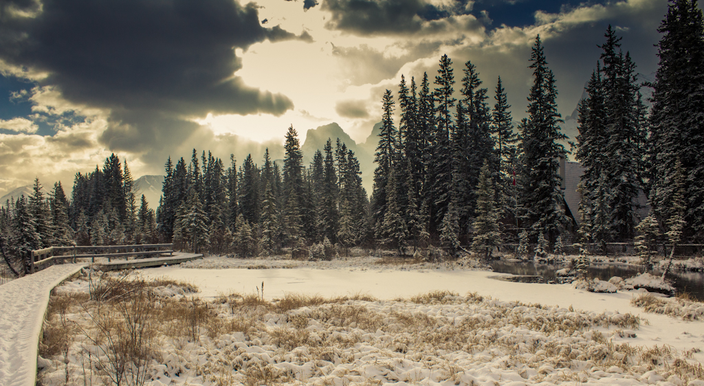 20121122IMG_18822 Bow Valley Photography Flickr