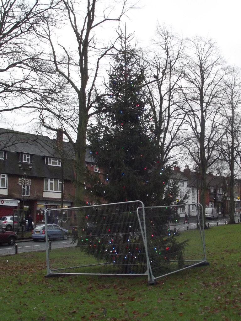 Kings Norton The Green Christmas tree a photo on Flickriver