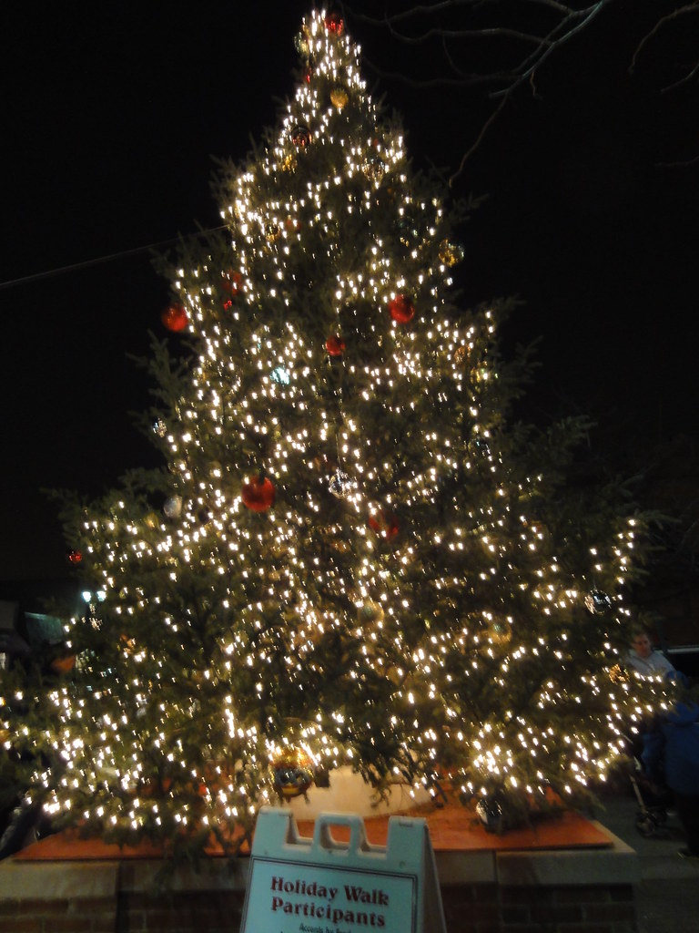 Forest Park Holiday Walk 2012 gympumpkin Flickr