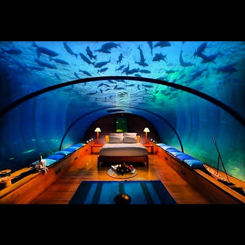 Underwater bedroom in the Maldives. Let's go!! Underwater … Flickr