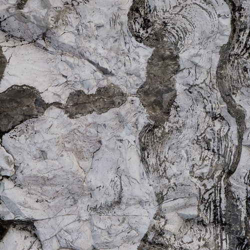 Winter Walk, North End Parks, Hagerstown, Maryland, Januar… Flickr