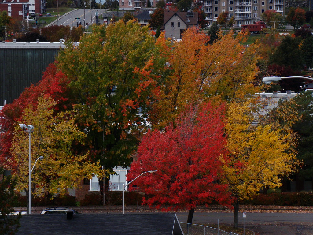 L'automne à RivièreduLoup (Québec) Flickr