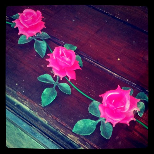 Plastic roses Plastic roses Christine Fürst Flickr