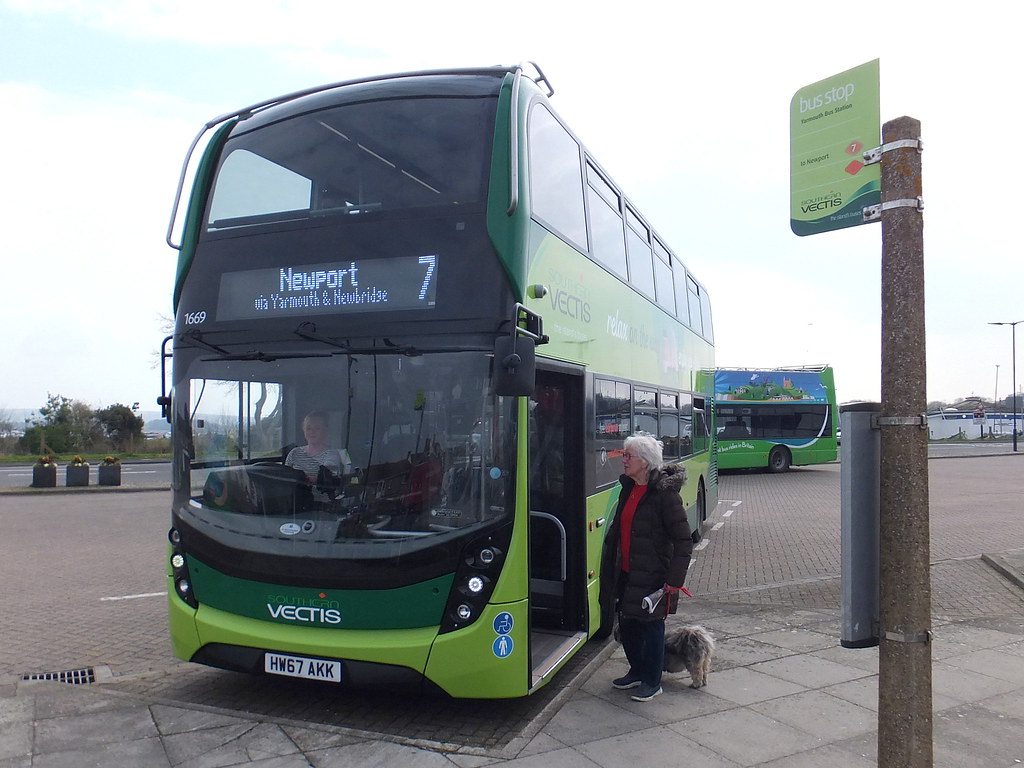Do Dogs Go Free On Buses