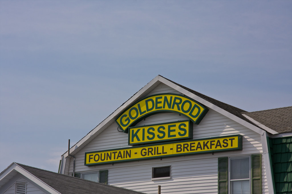 Goldenrod Kisses Short Sands Beach, York, Maine Sarah Oliver Flickr