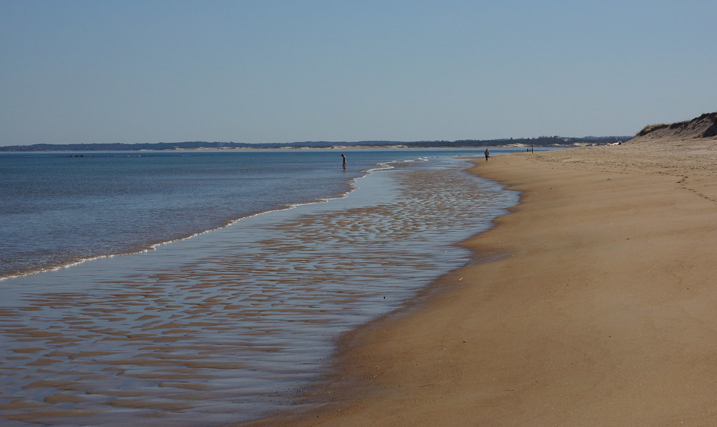 Plum Island Beach On an unusually warm day in March of 201… Seth