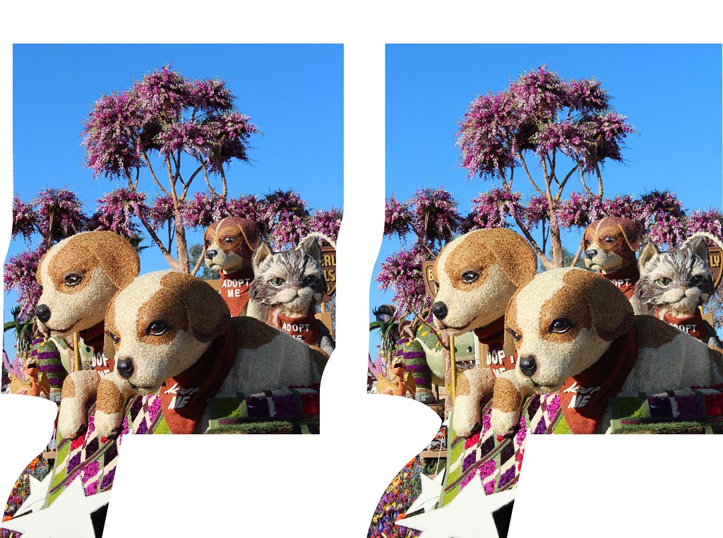 Beverly Hills Pet Care Foundation Float in 3D Love the P… Flickr