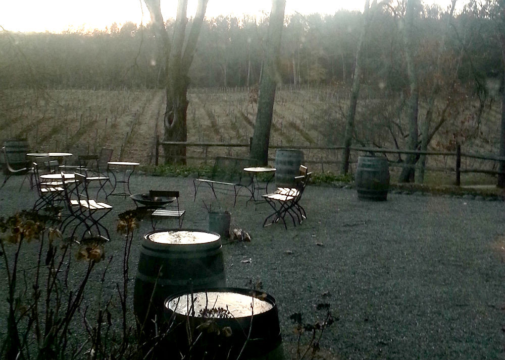 McLaughlin Vineyards Jen H. Flickr