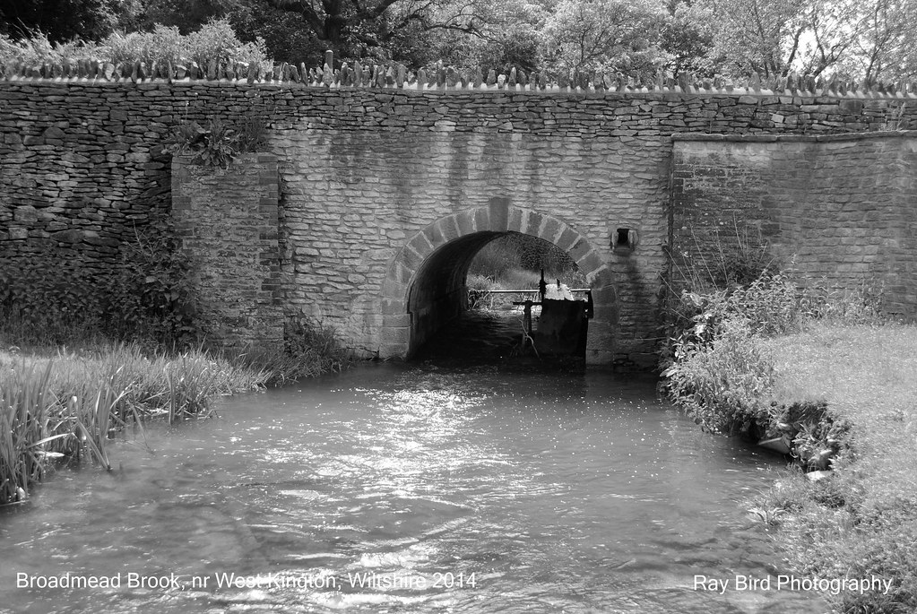 Broadmead Brook, West Kington, Wiltshire 2014 Ray Bird Flickr