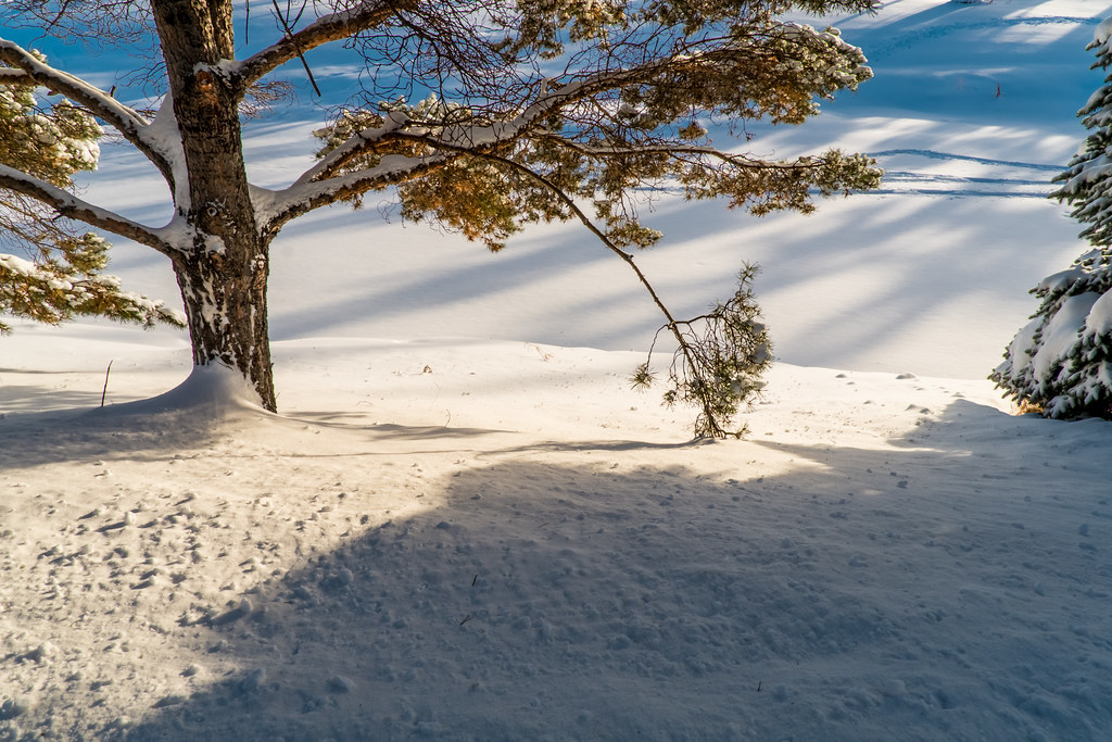 Sturgeon River Valley 04 Minus 25 degrees celcius on the b… Flickr
