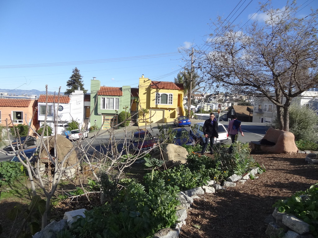 18th & rhode island permaculture garden in san francisco