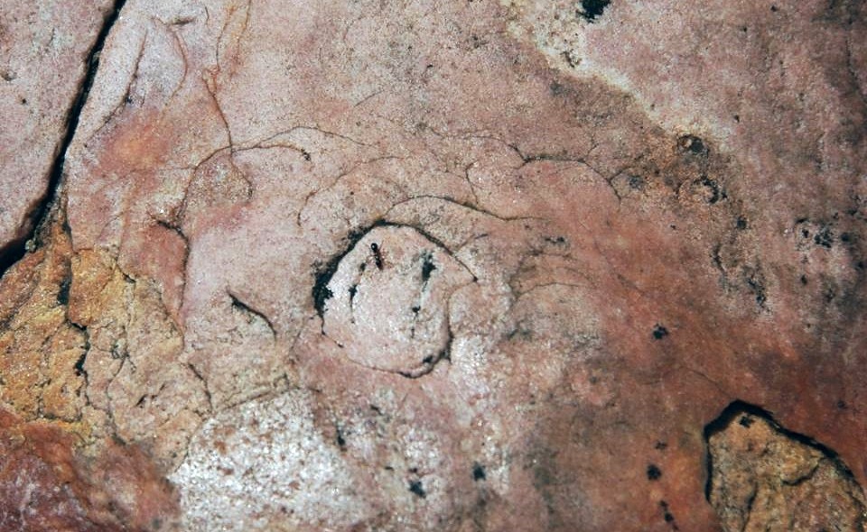 Percussion marks (Sioux Quartzite, Paleoproterozoic, 1.65… Flickr