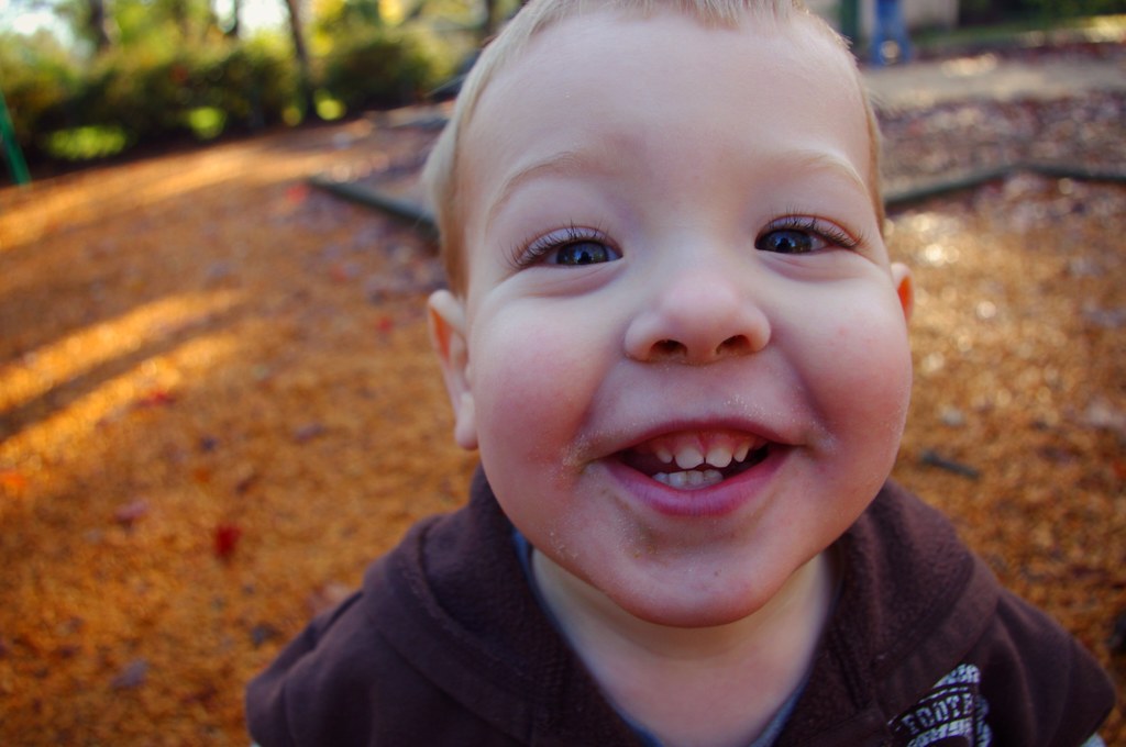 Calistoga, California. 12.24.12. Dan Watson Flickr