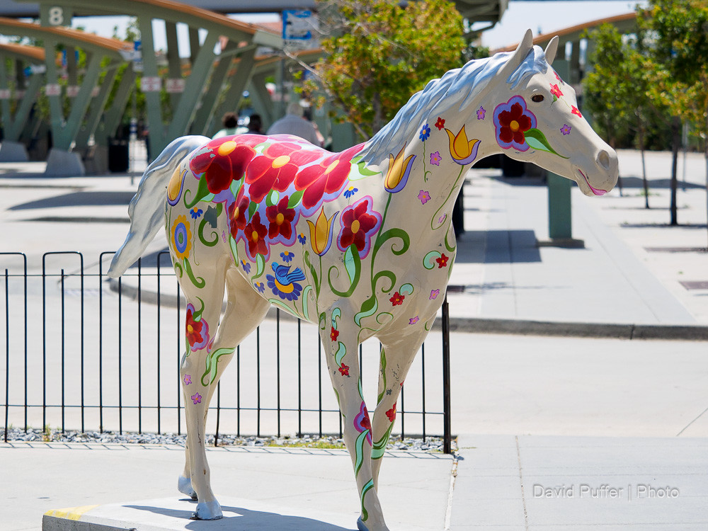 Painted Horses of Ogden Utah "Patriotism is not a short an… Flickr