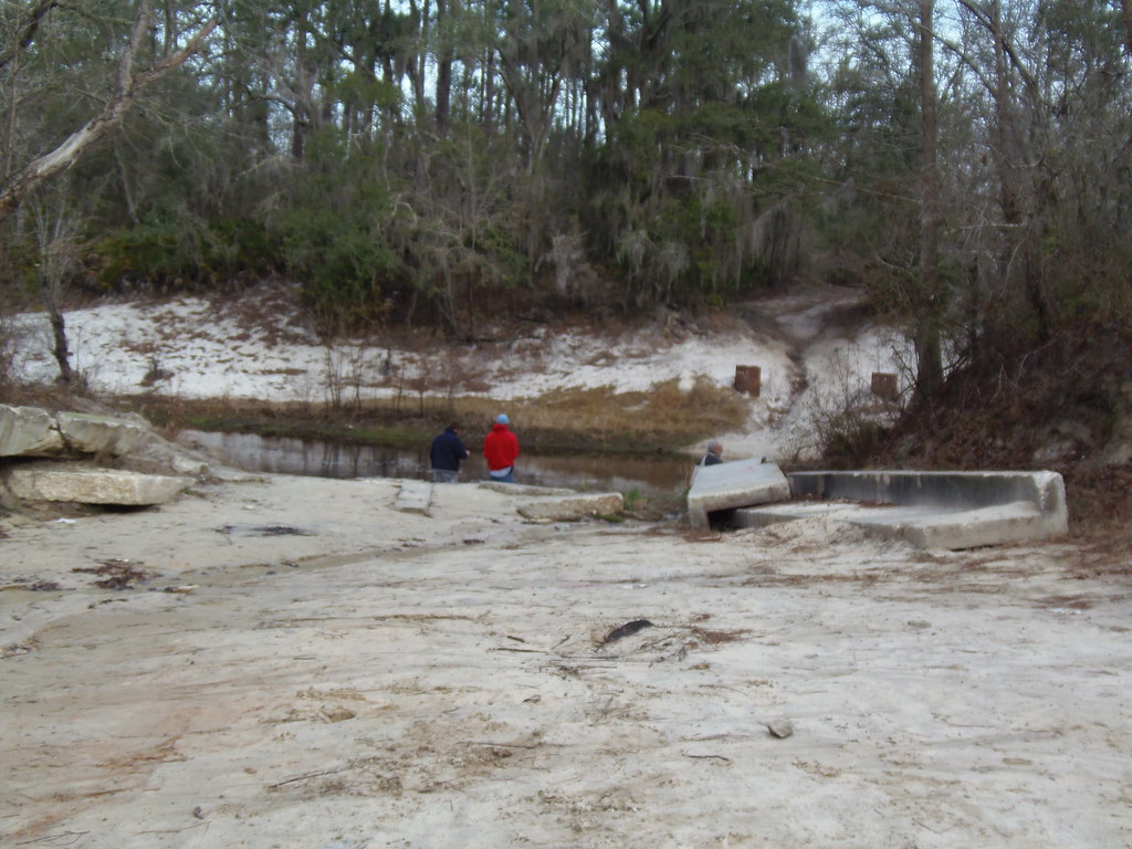 Closer Alapaha River at Hotchkiss Landing, Naylor, Lowndes… Flickr