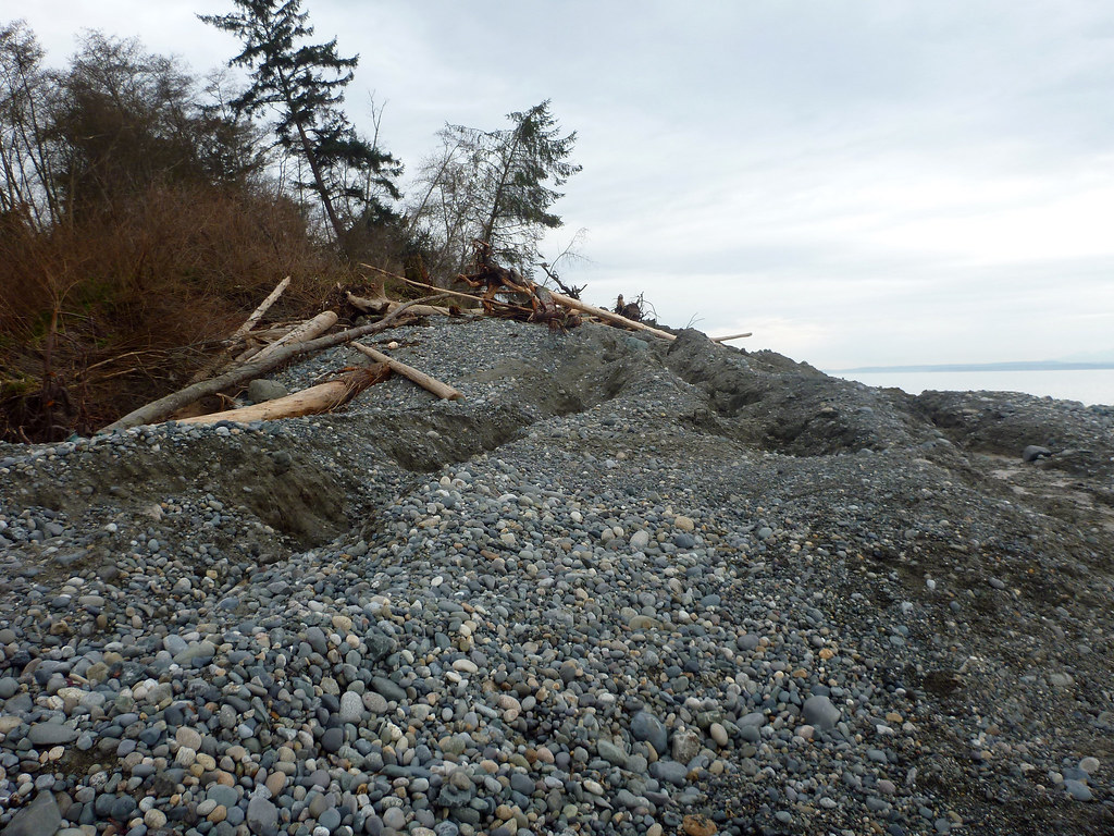 Whidbey Island Coupeville landslide This beach was lifted … Flickr