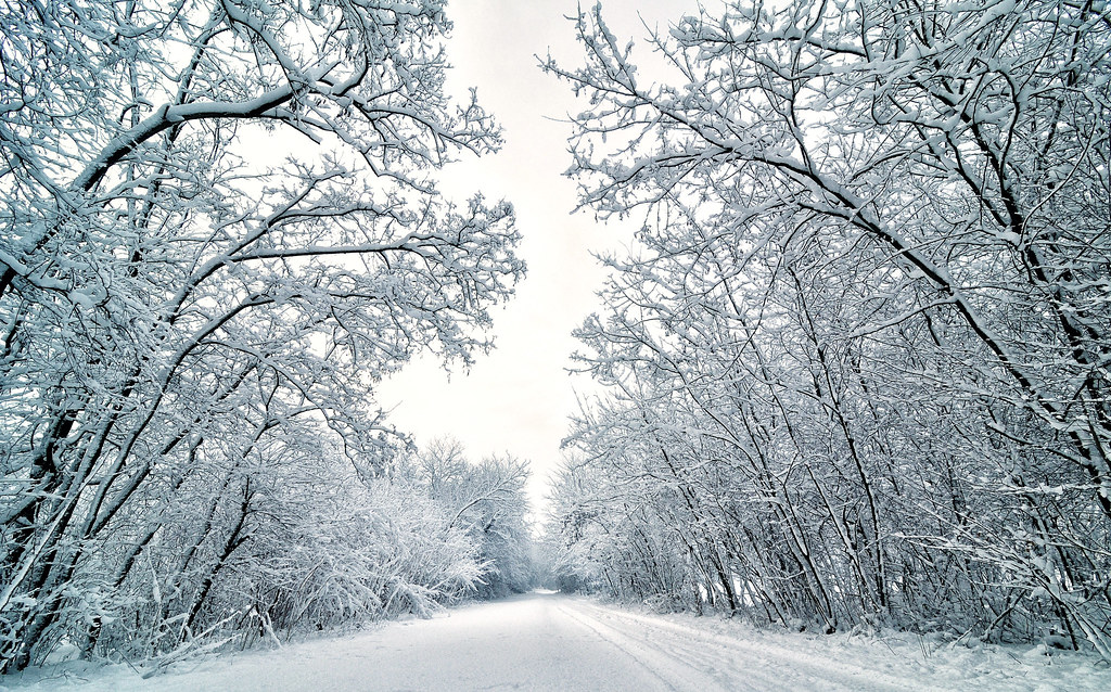 Winterland a photo on Flickriver