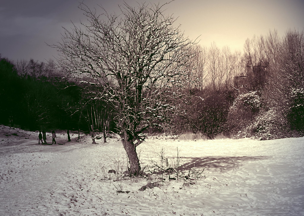 Winter funtime Leesbrook park Oldham gordon simpson Flickr