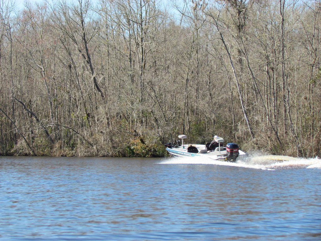 Lowcountry Unfiltered Combahee River Feb 2013 (131) Flickr