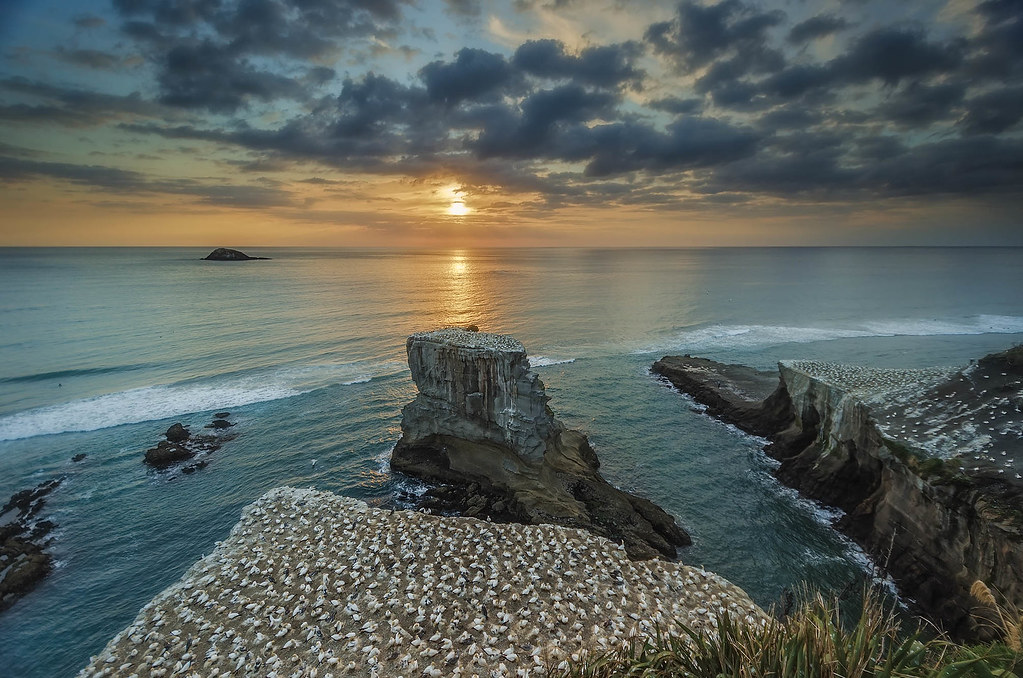 Elevation of Taylor Road, Huapai, Waimauku, New Zealand Topographic