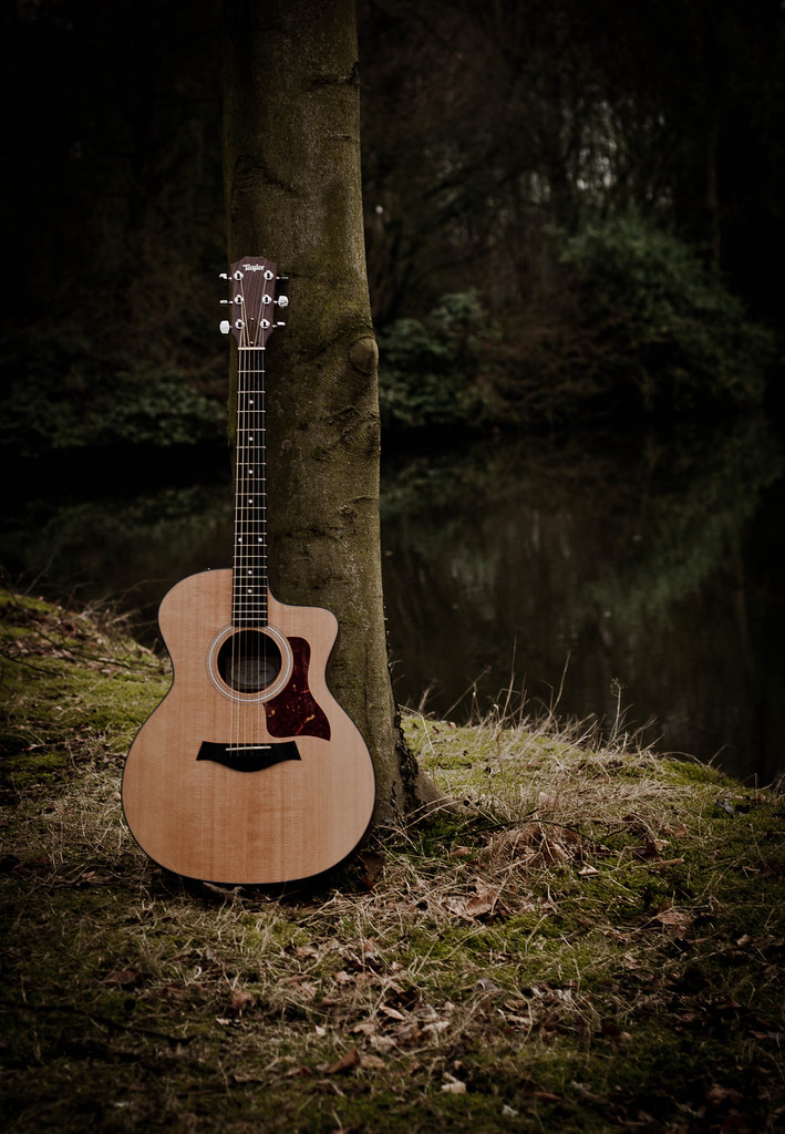 Guitar Tatiana Vdb Flickr