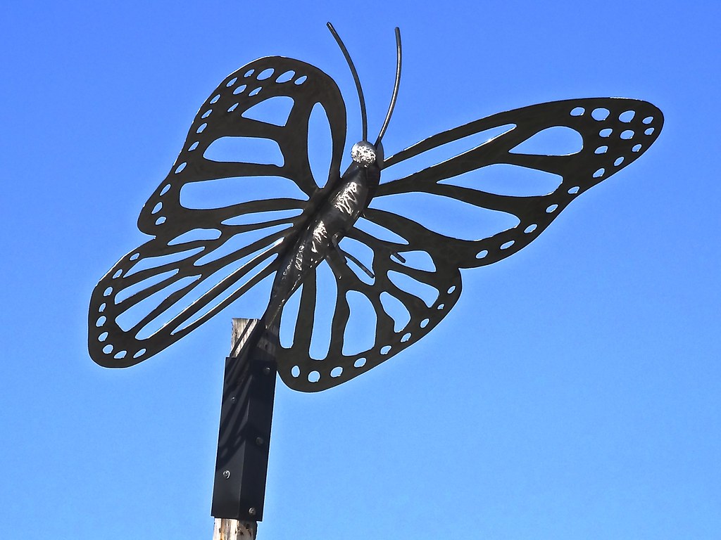 Iron Butterfly It was the first sunny warm day of the year… Flickr