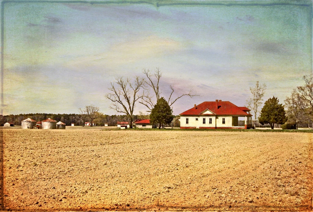 Abandoned Farm Complex Speight's Chapel Road, County, North