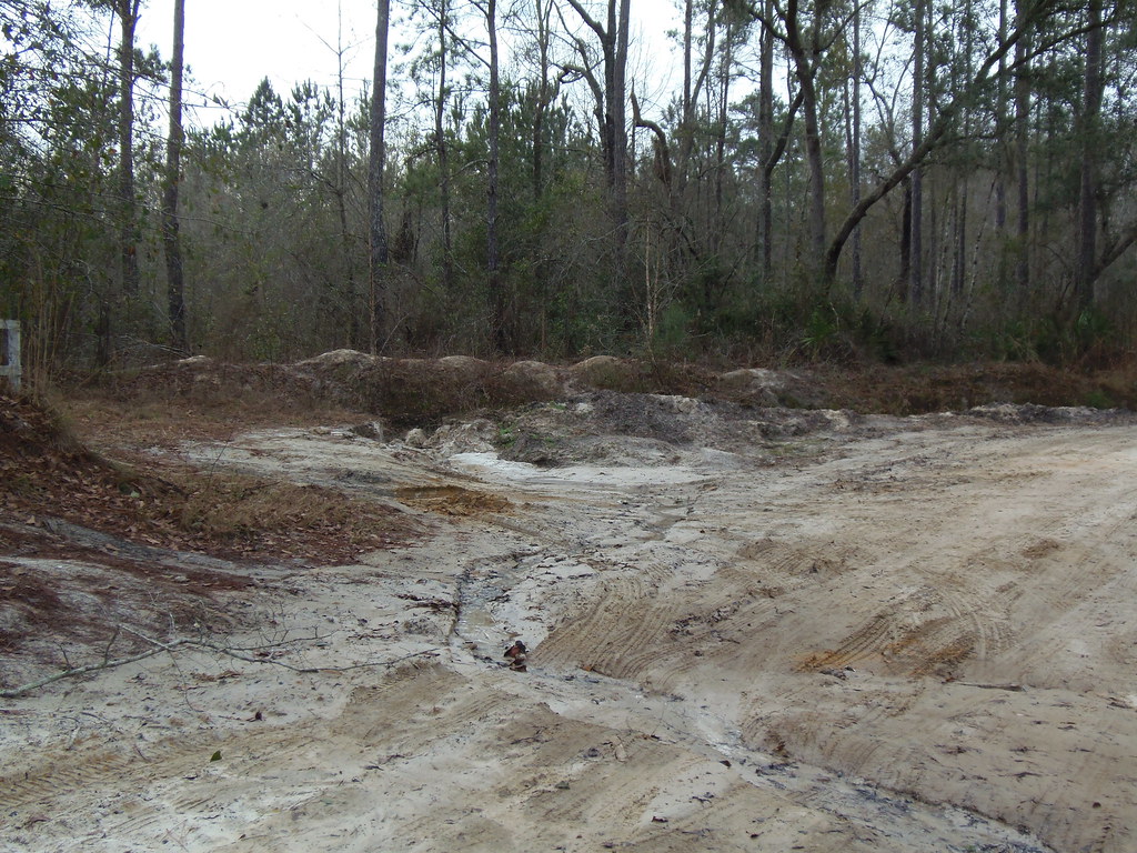 Wash Alapaha River at Hotchkiss Landing, Naylor, Lowndes C… Flickr