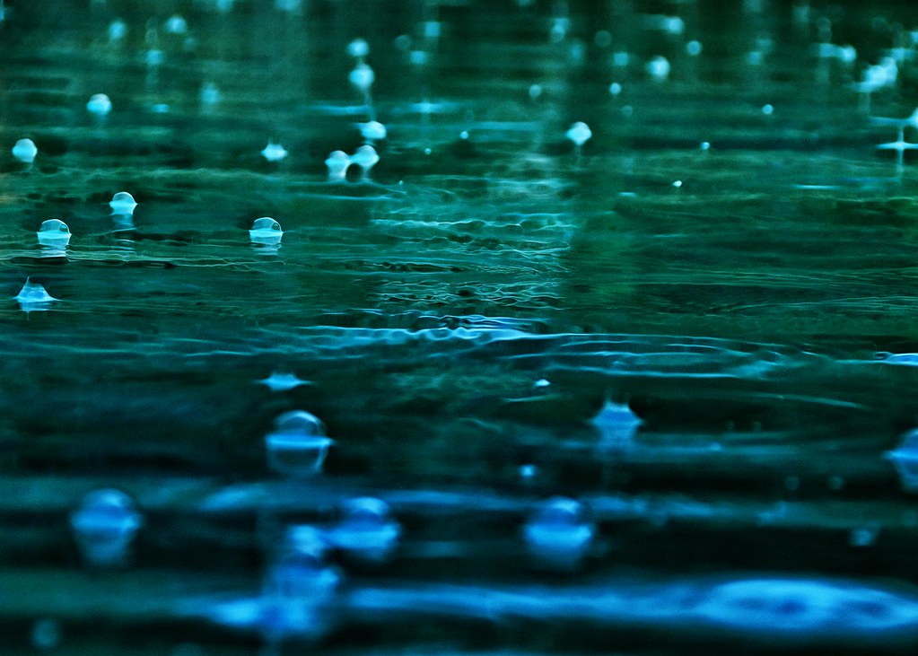 Rain Bubbles Russ Allison Loar Flickr