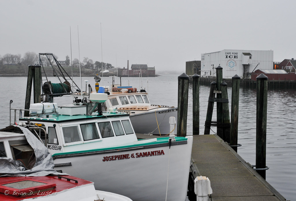 Fishing boats Fishing boats in Gloucester, Massachusetts, … Flickr