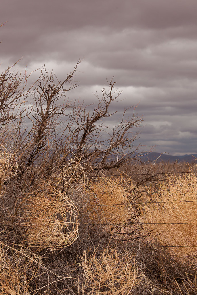 Elevation of McNeal, AZ, USA Topographic Map Altitude Map