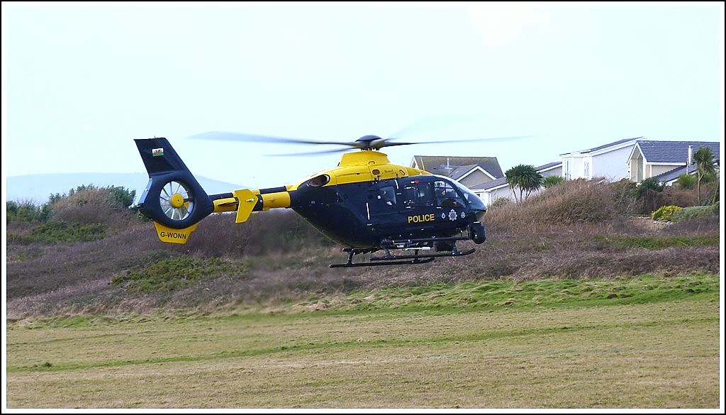 An occurrence on the common 2. Locks Common Porthcawl. GW… Flickr